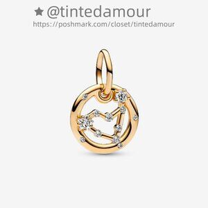Pandora Capricorn Zodiac Dangle Charm